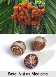 Use of Betel Nut as Medicines, Classification of Medicine