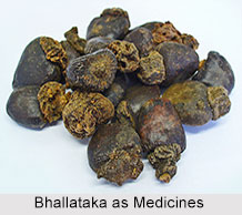 Use of Bhallataka as Medicines, Classification of Medicine