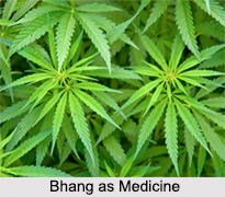 Use of Bhang as Medicines, Classification of Medicine