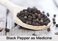 Use of Black Pepper as Medicines, Classification of Medicine