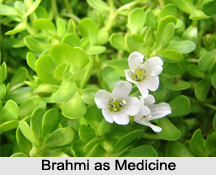 Use of Brahmi as Medicines, Classification of Medicine