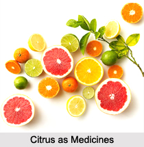Use of Citrus as Medicines, Classification of Medicine