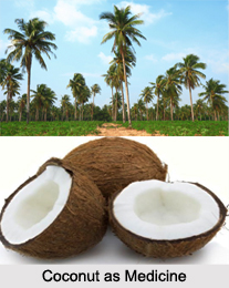Use of Coconut as Medicines, Classification of Medicine