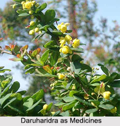 Use of Daruharidra as Medicines, Classification of Medicine
