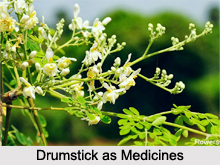 Use of Drumstick as Medicines, Classification of Medicine