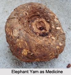 Use of Elephant Yam as Medicines, Classification of Medicine