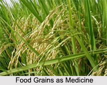 Use of Food Grains as Medicines, Classification of Medicine