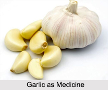 Use of Garlic as Medicines, Classification of Medicine