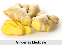 Use of Ginger as Medicines, Classification of Medicine