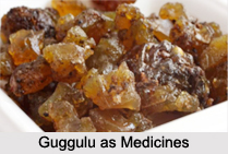 Use of Guggulu as Medicines, Classification of Medicine