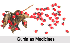 Use of Gunja as Medicines, Classification of Medicine