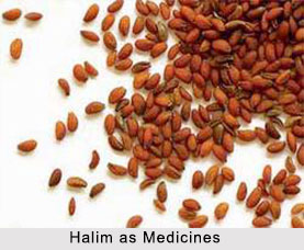 Use of Halim as Medicines, Classification of Medicine