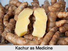 Use of Kachur as Medicines, Classification of Medicine