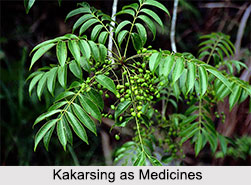 Use of Kakarsing as Medicines, Classification of Medicine
