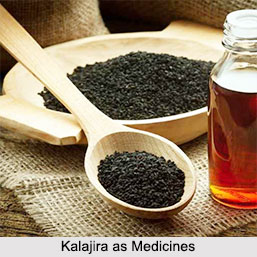 Use of Kalajira as Medicines, Classification of Medicine
