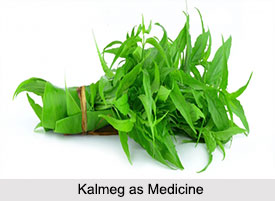 Use of Kalmeg as Medicines, Classification of Medicine