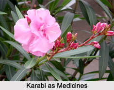 Use of Karabi as Medicines, Classification of Medicine