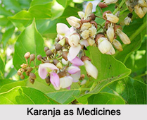 Use of Karanja as Medicines, Classification of Medicine