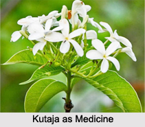 Use of Kutaja as Medicines, Classification of Medicine