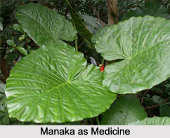 Use of Manaka as Medicines, Classification of Medicine