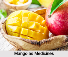Use of Mango as Medicines, Classification of Medicine