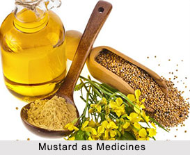 Use of Mustard as Medicines, Classification of Medicine