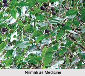 Use of Nirmali as Medicines, Classification of Medicine