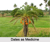 Use of Nutgrass as Medicines, Classification of Medicine
