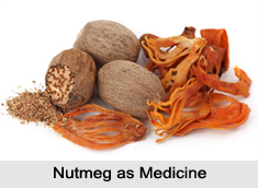 Use of Nutmeg as Medicines, Classification of Medicine
