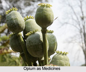 Use of Opium as Medicines, Classification of Medicine