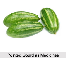 Use of Pointed Gourd as Medicines, Classification of Medicine
