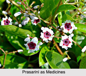 Use of Prasarini as Medicines, Classification of Medicine