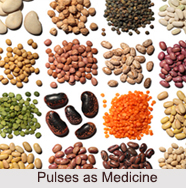 Use of Pulses as Medicines, Classification of Medicine