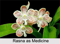 Use of Rasna as Medicines, Classification of Medicine