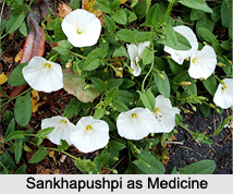 Use of Sankhapushpi as Medicines, Classification of Medicine