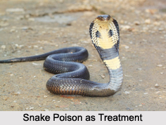 Use of Snake Poison as Treatment