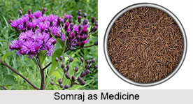 Use of Somraj as Medicines, Classification of Medicine