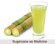 Use of Sugarcane as Medicines, Classification of Medicine