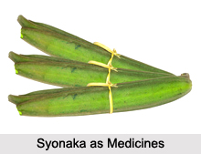 Use of Syonaka as Medicines, Classification of Medicine