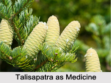 Use of Talisapatra as Medicines, Classification of Medicine