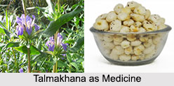 Use of Talmakhana as Medicines, Classification of Medicine