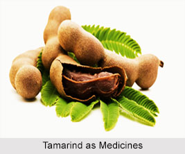 Use of Tamarind as Medicines, Classification of Medicine