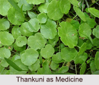 Use of Thankuni as Medicines, Classification of Medicine