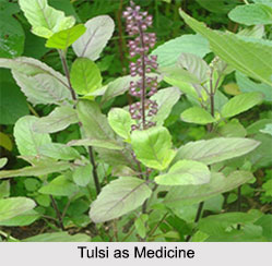 Use of Tulsi as Medicines, Classification of Medicine