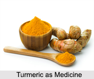 Use of Turmeric as Medicines, Classification of Medicine