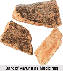 Use of Varuna as Medicines, Classification of Medicine