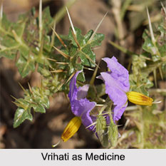 Use of Vrihati as Medicines, Classification of Medicine