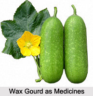 Use of Wax Gourd as Medicines, Classification of Medicine
