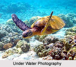 Uses of Photography in India, Indian photography