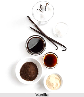 Uses of Vanilla